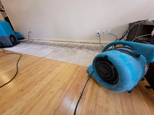 Professional Water Extraction technician working in Freeport, OH